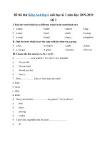 Tải Đề thi thử tiếng Anh lớp 6 cuối học kì 2 năm học 2019-2020 - Đề 2 - Đề kiểm tra tiếng Anh cuối học kì 2 lớp 6 có đáp án