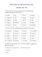 Tải Đề ôn thi vào lớp 10 Chuyên ngoại ngữ có đáp án - Đề thi tiếng Anh vào lớp 10 chuyên có đáp án