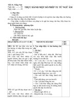 Tải Giáo án Ngữ văn 12: Thực hành một số phép tu từ ngữ âm - Giáo án điện tử môn Ngữ văn lớp 12