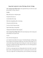 Tải Luyện từ và câu lớp 4 tuần 23: Mở rộng vốn từ: Cái đẹp - Giải bài tập SGK Tiếng Việt 4 tập 2