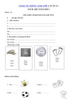 Tải Giáo án Tiếng Anh lớp 2 Tuần 15 sách ABC English 2 - Giáo án môn tiếng Anh lớp 2 theo tuần