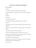 Tải Các bài văn mẫu tả cảnh biển hay nhất - Văn tả cảnh biển lớp 5, 6, 7