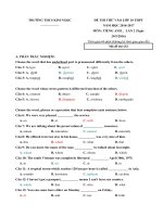 Tải Đề thi thử vào lớp 10 môn Tiếng Anh năm học 2016 - 2017 trường THCS Kim Ngọc, Vĩnh Phúc (Lần 2) - Đề thi thử vào lớp 10 môn Tiếng Anh có đáp án