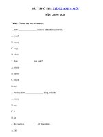 03 - Ôn tập tiếng Anh lớp 6 giữa học kì 2 có đáp án