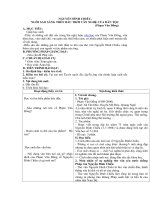 Tải Giáo án môn Ngữ văn lớp 12 bài 8 - Nguyễn Đình Chiểu, ngôi sao sáng trên bầu trời văn nghệ của dân tộc