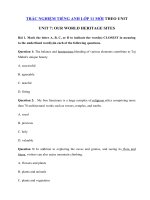 Tải Trắc nghiệm Ngữ pháp tiếng Anh lớp 11 Unit 8 Our World Heritage Sites - Bài tập Tiếng Anh 11 mới theo từng Unit có đáp án