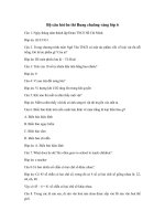 Tải Bộ câu hỏi ôn thi Rung chuông vàng lớp 6 - Tài liệu ôn thi Rung chuông vàng lớp 6