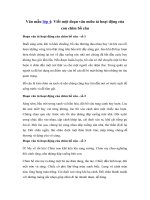 Tải Viết một đoạn văn miêu tả hoạt động của con chim bồ câu - Tả con vật lớp 4