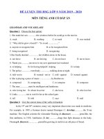 Tải Đề thi thử học sinh giỏi lớp 9 môn tiếng Anh năm 2019 - 2020 số 9 - Đề thi học sinh giỏi môn tiếng Anh 9 có đáp án