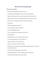 Tải Bài văn tả cơn mưa lớp 5 ngắn - Tả cơn mưa hay nhất