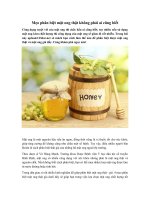 Tải Mẹo phân biệt mật ong thật không phải ai cũng biết - 4 cách phân biệt mật ong thật và mật ong giả