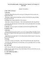 Tải Giáo án Ngữ văn 12 tuần 4: Nguyễn Đình Chiểu, ngôi sao sáng trong văn nghệ dân tộc - Giáo án Ngữ văn 12 tiết 10, 11