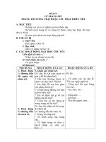 Tải Giáo án Mỹ thuật lớp 5 bài 33: Vẽ trang trí - Trang trí cổng trại hoặc lều trại thiếu nhi - Giáo án điện tử môn Mỹ thuật lớp 5