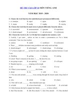 Tải Đề thi thử vào lớp 10 môn Tiếng Anh năm học 2019 - 2020 Thành phố Hà Nội - Đề thi tuyển sinh lớp 10 môn Tiếng Anh
