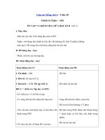 Tải Giáo án Tiếng Việt 4 tuần 28: Ôn tập giữa học kì 2 - Tiết 3 - Giáo án Chính tả lớp 4