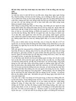 Tải Hãy trình bày bình luận của bản thân về lời ăn tiếng nói của học sinh - Bài văn mẫu lớp 10