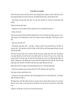 Tải Truyện cổ tích cho bé: Con thỏ và con hổ - Truyện cổ tích Việt Nam