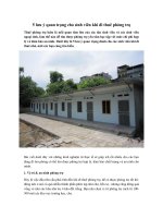 Tải 5 lưu ý quan trọng cho sinh viên khi đi thuê phòng trọ - Gợi ý cách thuê nhà trọ cho sinh viên