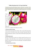 Tải Những công dụng tuyệt vời từ quả thanh long - Những lợi ích sức khỏe của trái thanh long