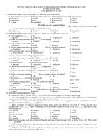 Tải Bộ đề thi giữa học kì 2 lớp 9 môn tiếng Anh Phòng GD&ĐT Quận 1, TP. Hồ Chí Minh có đáp án - Ôn thi giữa học kì 2 lớp 9 môn tiếng Anh