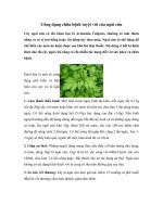 Tải Công dụng chữa bệnh của cây ngải cứu - Tác dụng của ngải cứu