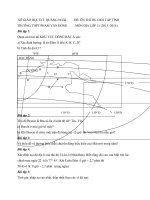 Tải Bài tập luyện thi học sinh giỏi môn Địa lý lớp 11 trường THPT Phạm Văn Đồng, Quảng Ngãi - Tài liệu ôn thi học sinh giỏi môn Địa lí lớp 11