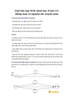 Tải Giải bài tập SGK Sinh học 8 bài 15: Đông máu và nguyên tắc truyền máu - Giải bài tập Sinh học rút gọn lớp 8 bài 15