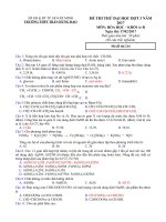 Tải Đề thi thử THPT Quốc gia năm 2017 môn Hóa học trường THPT Trần Hưng Đạo, thành phố Hồ Chí Minh (Lần 3) - Đề thi thử THPT Quốc gia năm 2017 môn Hóa học có đáp án