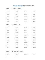 Tải File tập đọc lớp 1 bộ sách Cánh Diều - Bài tập luyện đọc lớp 1