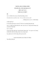 Tải Đề kiểm tra tổng hợp học kì 2 lớp 9 môn Ngữ văn trường THCS Lê Đình Chinh năm học 2017 - 2018 - Đề thi học kì 2 lớp 9 môn Ngữ văn