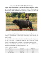 Tải Xem sao hạn năm 2017 sao chiếu mệnh Kỷ Sửu nữ mạng - Xem sao hạn Kỷ Sửu nữ mạng năm Đinh Dậu 2017