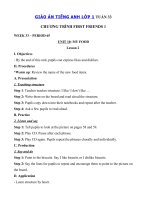 Tải Giáo án Tiếng Anh lớp 1 Tuần 33 sách First Friends 1 - Giáo án môn tiếng Anh lớp 1 theo tuần