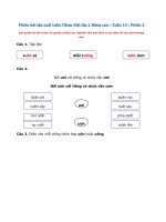 Tải Phiếu bài tập cuối tuần Tiếng Việt 1 nâng cao Tuần 14 Phiếu 2 - Đề kiểm tra Tiếng Việt cuối tuần lớp 1 Sách Kết nối tri thức với cuộc sống