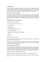 Tải Catalogue là gì? Hướng dẫn thiết kế Catalogue đẹp