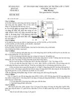 Tải Đề thi học sinh giỏi môn Hóa học lớp 12 trường THPT Nguyễn Duy Thì, Vĩnh Phúc năm học 2016 - 2017 (Lần 1) - Đề thi HSG cấp trường môn Hóa lớp 12 có đáp án