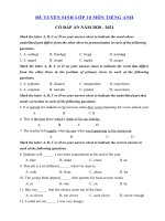 Tải Đề thi vào lớp 10 môn tiếng Anh sở GD&ĐT Hà Nội năm 2020 số 16 - Đề thi tiếng Anh vào lớp 10 có đáp án