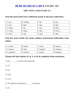 Tải Đề kiểm tra tiếng Anh lớp 6 học kì 1 năm 2020 - 2021 số 4 - Đề thi học kì 1 môn tiếng Anh lớp 6 chương trình mới có đáp án