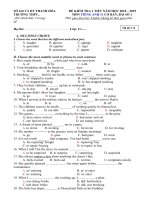 Tải Đề kiểm tra 1 tiết số 1 lớp 11 môn tiếng Anh - Đề kiểm tra 45 phút môn tiếng Anh lớp 11 năm học 2018-2019 có đáp án