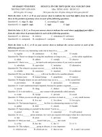 Tải Đề thi thử THPT Quốc gia 2018 môn tiếng Anh trường THPT Liễn Sơn, Vĩnh Phúc có đáp án (Đề số 212) - Ôn thi THPT Quốc gia 2018