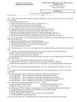 Tải Đề thi thử THPT Quốc gia môn Lịch sử năm học 2017 - 2018, trường THPT Gio Linh - Quảng Trị - Đề thi thử THPT quốc gia môn Lịch sử 12 có đáp án