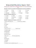 Tải Bài tập cuối tuần Tiếng Anh lớp 7 nâng cao - Tuần 5 - Phiếu bài tập Tiếng Anh lớp 7 - Tuần 5 có đáp án