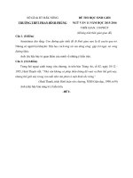 Tải Đề thi học sinh giỏi môn Ngữ văn lớp 11 trường THPT Phan Đình Phùng, Đắk Nông năm học 2015 - 2016 - Đề thi học sinh giỏi lớp 11 môn Văn có đáp án