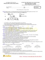 Tải Đáp án đề thi thử THPT Quốc gia môn Sinh học năm 2019 trường THPT Lương Ngọc Quyến - Thái Nguyên lần 2 - Đề minh họa Sinh học 2019