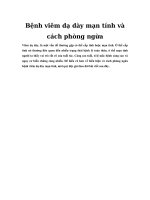 Tải Bệnh viêm dạ dày mạn tính và cách phòng ngừa - Hiểu biết về bệnh viêm dạ dày mạn tính