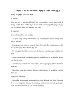 Tải Tả nghệ sĩ hài mà em thích - Nghệ sĩ Xuân Hinh - Văn mẫu tả người lớp 5