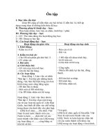 Tải Giáo án Đạo đức lớp 5 bài: Ôn tập - Giáo án điện tử môn Đạo đức lớp 5
