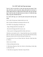 Tải Tử vi 2017 tuổi Canh Ngọ nam mạng - Xem tử vi tuổi Canh Ngọ nam mạng năm 2017