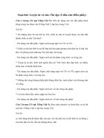 Tải Luyện từ và câu lớp 5: Ôn tập về dấu câu (Dấu phẩy) - Giải bài tập SGK Tiếng Việt 5 tập 2