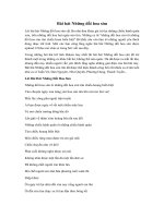 Tải Lời bài hát Những đồi hoa sim - Hợp âm Những đồi hoa sim