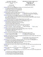 Tải Đề thi thử THPT Quốc gia môn Địa lý năm 2019 trường THPT Nguyễn Viết Xuân - Vĩnh Phúc lần 1 - Đề thi thử THPT Quốc gia 2019 môn Địa lý có đáp án